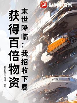 步步高升:从省考状元到权力巅峰